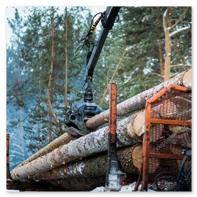 Anhänger mit Holz für den Abtransport
