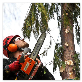 Detailaufnahme einer Motorsäge im Wald