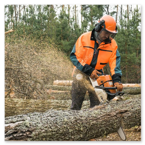 Zuschneiden von Stämmen auf Länge im Bestand