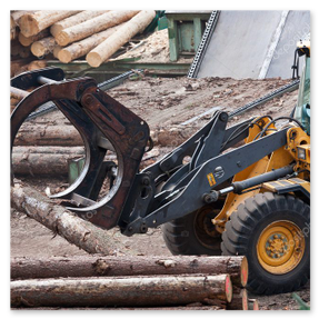 Abtransport von Holz mit Rückefahrzeug auf Rückegasse